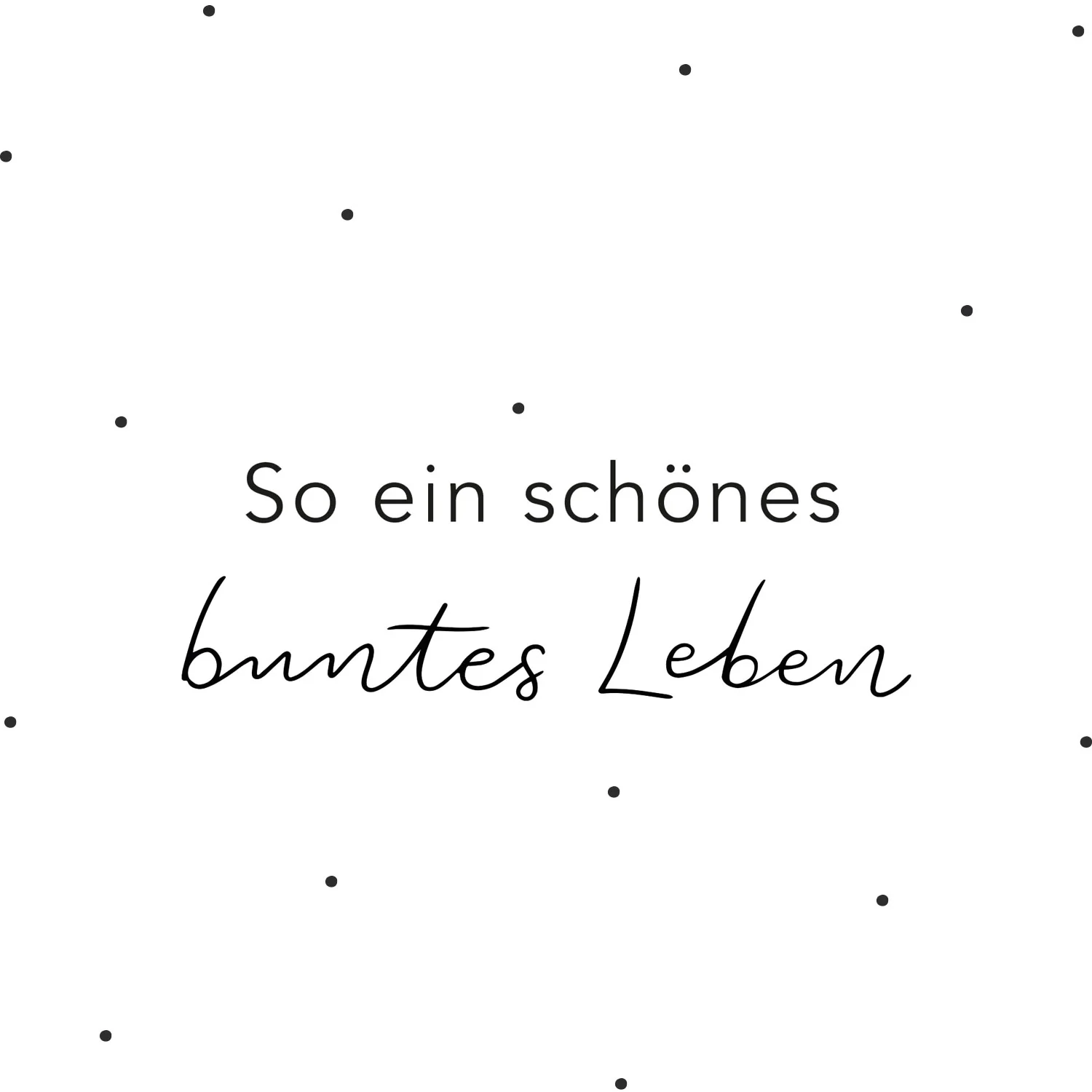 Vorschaubild 7